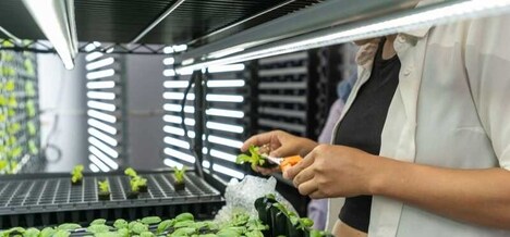 Advanced Indoor Farming Solutions
