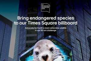 Endangered Species Billboards Article Thubnail