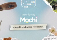 Web Search AI Models