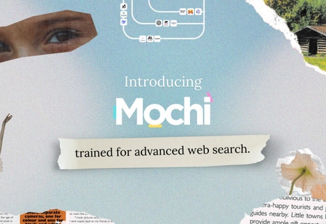Web Search AI Models