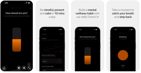 Mental Wellness Habits