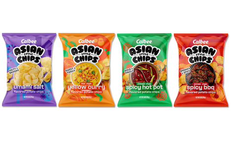 Asian Cuisine-Inspired Snack Chips