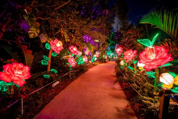 Immersive Light Festivals