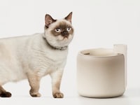 Refined Feline Water Dispensers