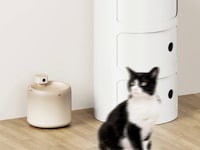 Refined Feline Water Dispensers Image 7