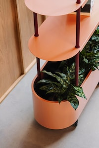 Office-Friendly Gardening Systems Image 2