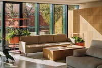 Office-Friendly Gardening Systems Image 3