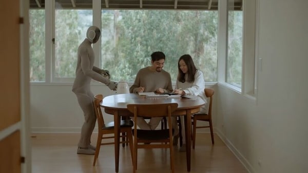Household Maintenance Humanoid Robots