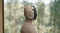 Household Maintenance Humanoid Robots Image 2