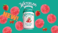 Boldly Flavored Sparkling Waters Image 2