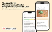 Postpartum Depression Programs Image 1