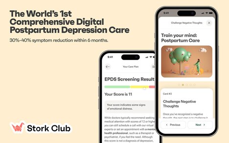 Postpartum Depression Programs