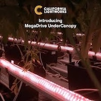 Plant-Focused LED Lighting Systems Image 1