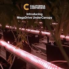 Plant-Focused LED Lighting Systems