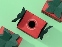 Convenient Cherry Tomato Boxes Image 3