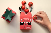 Convenient Cherry Tomato Boxes Image 5