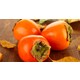 Persimmon-Sourced Weight Management Extracts Image 1
