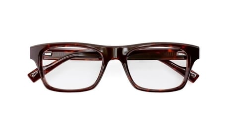 Chic Statement Eyewear