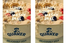 Unsightly Oatmeal Campaigns