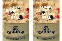 Unsightly Oatmeal Campaigns