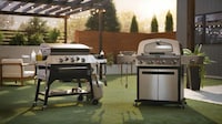 Multifunctional Outdoor Grill Ranges Image 1