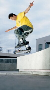 Reissued Technical Skate Footwear