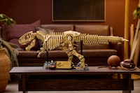 Dinosaur Intricate Puzzle Sets Image 1