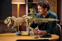 Dinosaur Intricate Puzzle Sets Image 3