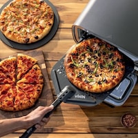 Outdoor Five-in-One Ovens