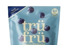 Chocolate-Covered Frozen Fruit Treats