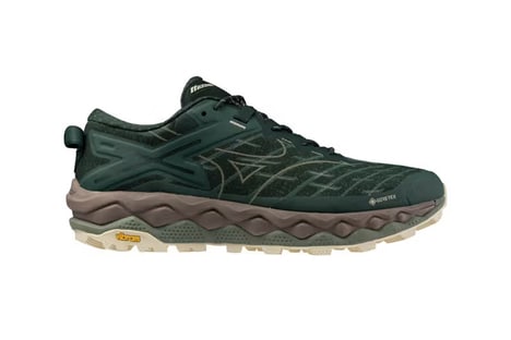 Sporty Performance-Driven Shoes