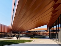 Ribbon-Like Dynamic Structures Image 3