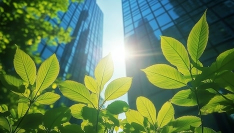 Sustainability-Focused AI Platforms