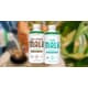 Clean Ingredient Alt Milks Image 1
