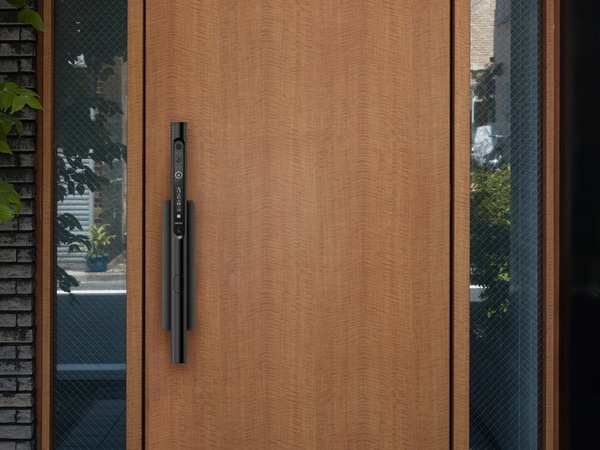 Tubular Handle Smart Locks