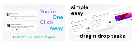 Professional Networking Platforms