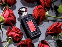 Spring Fragrance Lines Image 4