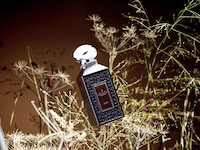 Spring Fragrance Lines Image 5