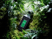 Spring Fragrance Lines Image 6