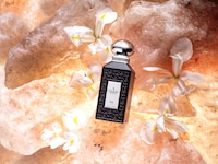 Spring Fragrance Lines Image 7