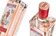 Cocktail-Ready Grapefruit Gins