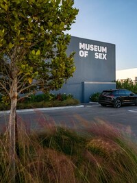 Positive Sensual Miami Museums Image 4