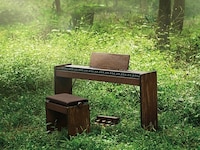 Stealthy Rare Wooden Instruments