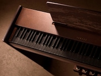 Stealthy Rare Wooden Instruments Image 2