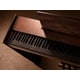 Stealthy Rare Wooden Instruments Image 2