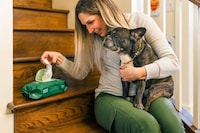 Thickly Textured Pet Wipes Image 3