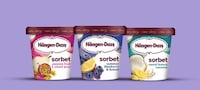 Summer-Enthused Non-Dairy Sorbets