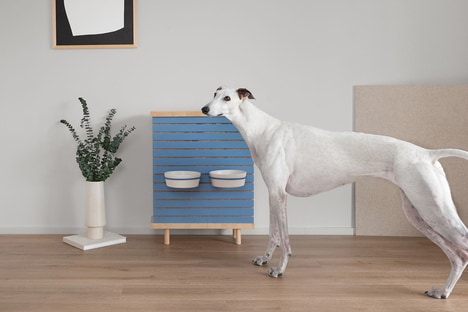 Minimal Sustainable Pet Designs