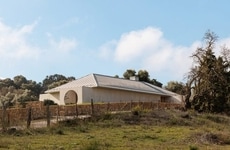 Park-Nestled Concrete Homes