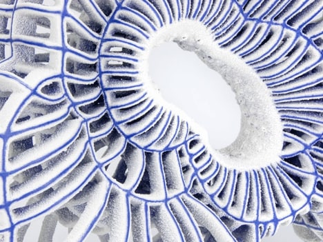 Biology-Inspired Porcelain Sculptures